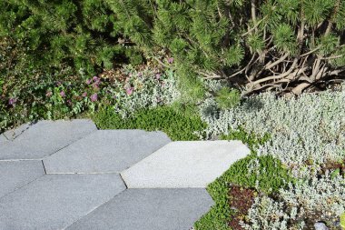 Geometrik desen ile kaplı Alp slayt ve kaldırım döşeme görünümü.