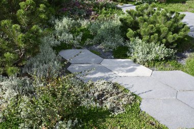 Geometrik desen ile kaplı Alp slayt ve kaldırım döşeme görünümü.