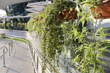 Çiçek dekorasyonu ile açık kafe zikzak şekli