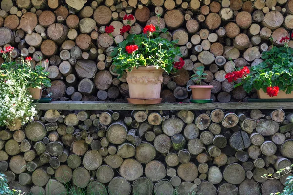 Stockage de bois de chauffage est décoré avec des pots de fleurs avec des fleurs de géranium fermer . — Photo