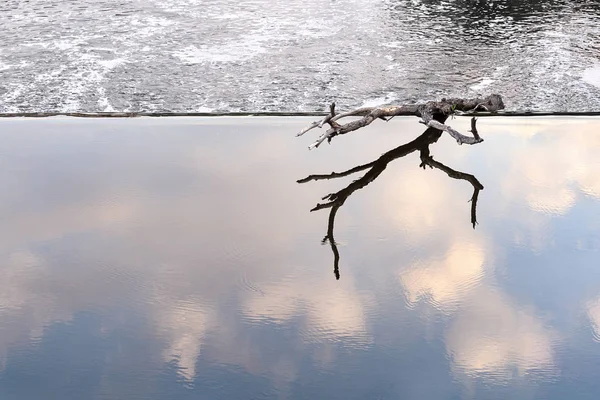 Una trampa se encuentra en el borde de una presa en una zona de aguas tranquilas . —  Fotos de Stock