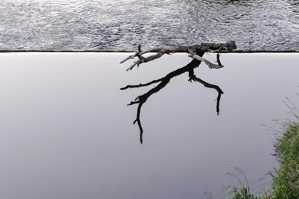 Una trampa se encuentra en el borde de una presa en una zona de aguas tranquilas . —  Fotos de Stock