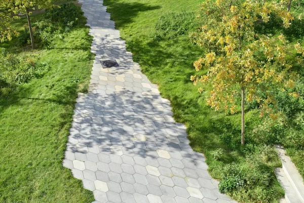 The path in the park lined with paving slabs in the form of a diamond.