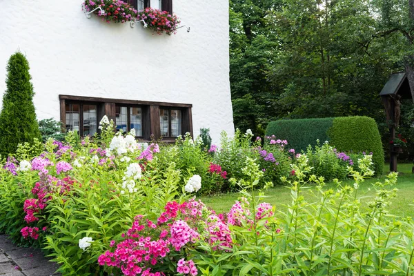 Uitzicht op de goed onderhouden tuin met een groen gazon, bloemen en bomen in de buurt van het huis. — Stockfoto