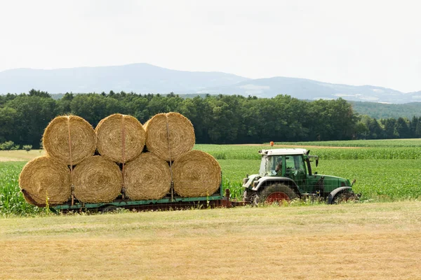 Colheita e transporte de culturas na indústria agrícola . — Fotografia de Stock