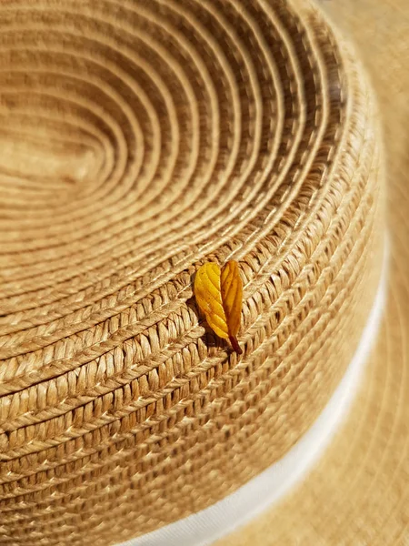 Uma Folha Amarela Caída Uma Árvore Está Chapéu Palha Conceito — Fotografia de Stock