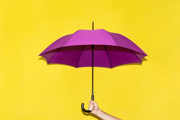Homme Tient Dans Main Parapluie Violet Sur Fond Mur Jaune — Photo
