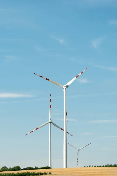 View of a wind power plant on a background of blue sky and fields with grain crops. The concept of environmental electricity production using a wind farm.