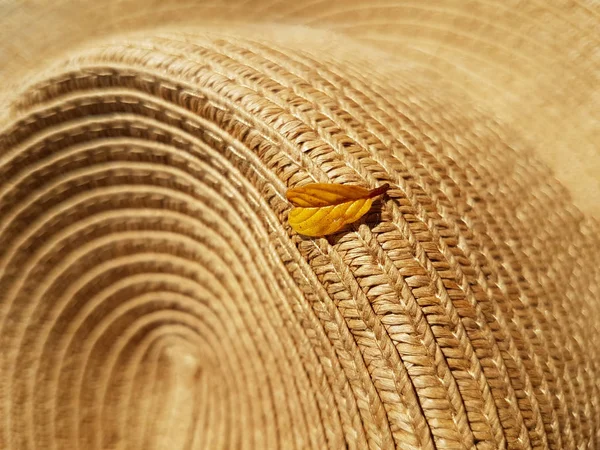 Uma Folha Amarela Caída Uma Árvore Está Chapéu Palha Conceito — Fotografia de Stock