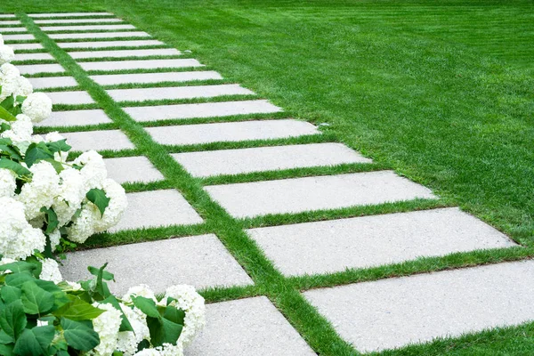 Uitzicht op het pad in de tuin van natuursteen waarlangs het gazon ligt en witte hortensia groeit. — Stockfoto