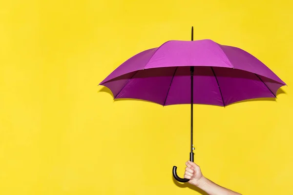 Homme Tient Dans Main Parapluie Violet Sur Fond Mur Jaune — Photo
