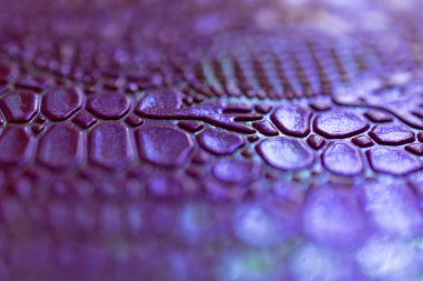 Neon renkli timsah derisi dokusu. Trend konsepti 2019 renk proton moru.