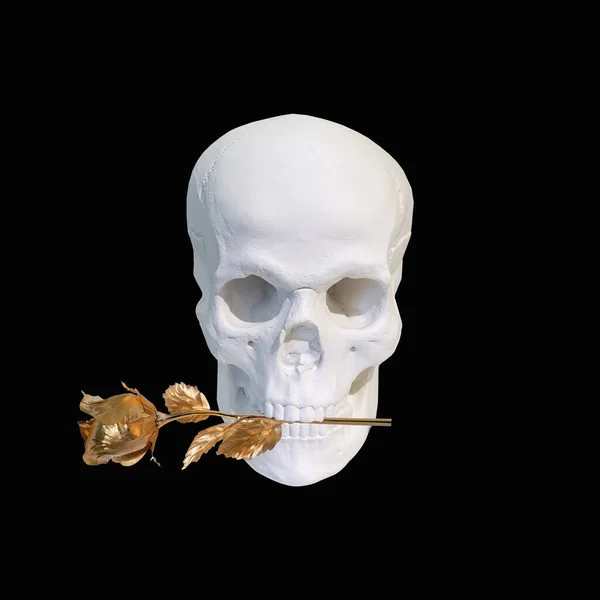 Colagem Contemporânea Crânio Branco Com Uma Rosa Dourada Nos Dentes — Fotografia de Stock