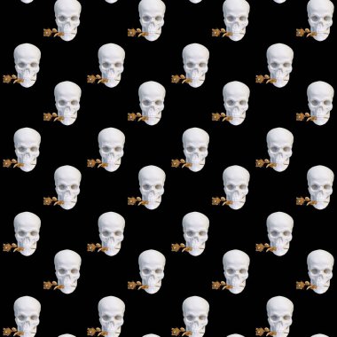 Çağdaş kolaj. Siyah arka planda dişlerinde altın bir gül olan kusursuz beyaz kafatasları.