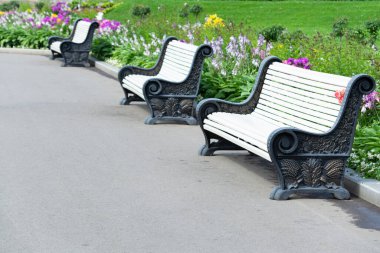 Parktaki bankların, çimlerin ve çiçekliğin manzarası. Peyzaj konsepti, bitkiler, manzara.