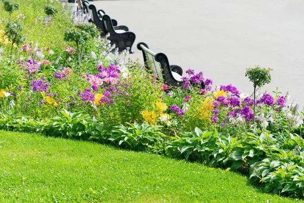 Vista do gramado, um canteiro de flores e um banco de parque. O conceito de paisagismo, plantas, paisagem. — Fotografia de Stock