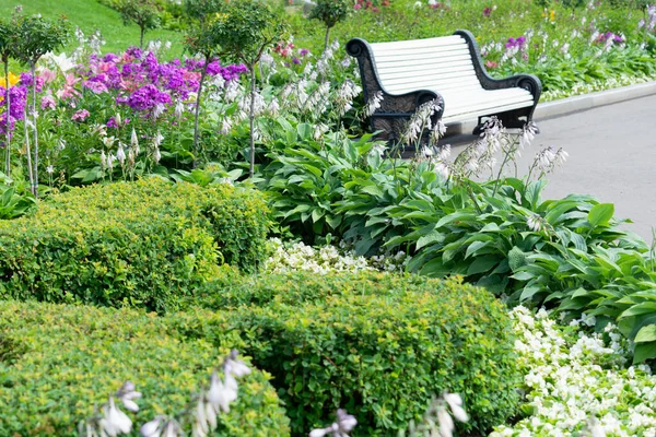 Вид на клумбу, кустарники и скамейки в парке. Концепция озеленения, растений, ландшафта. — стоковое фото