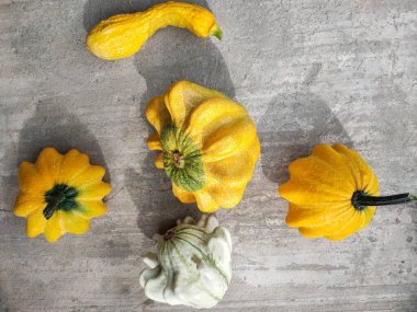 Toplanan balkabağı, kabak ve çeşitli renklerdeki kabağın beton bir yüzeye uzanan görüntüsü. Sonbahar, bitkiler, tatil kavramları