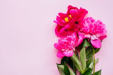Pembe peony çiçek buketi