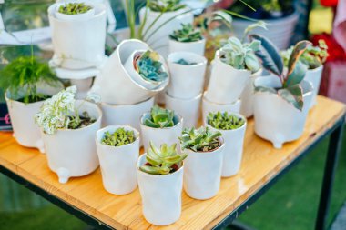 Çiçek pazarı, etli tencere