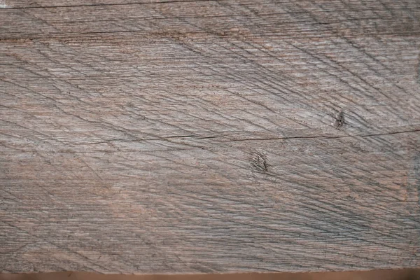 Textura de casca de madeira natural — Fotografia de Stock