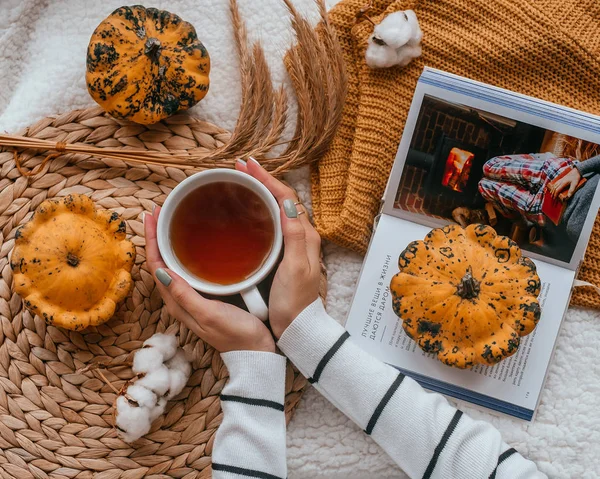 Příjemné flatlay s čajem — Stock fotografie