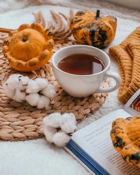 Podzimní Flatlay Dece Šálkem Čaje Orange Tykve Kniha Bavlněné Květin — Stock fotografie