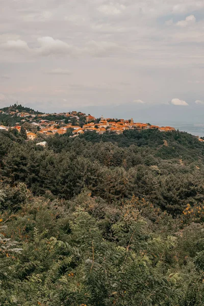 西尼纳吉全景 — 图库照片