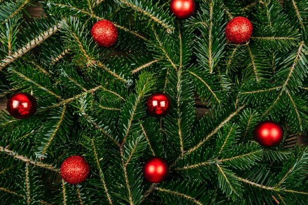 Köknar ağacı arka plan