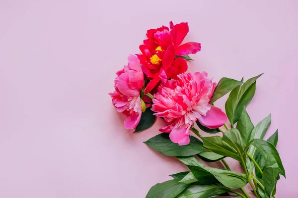 Bouquet de fleurs pivoine rose — Photo