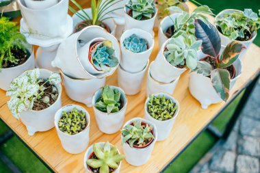 Çiçek pazarı, etli tencere