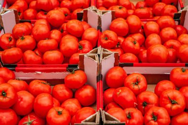 Çiftçi pazarında domates