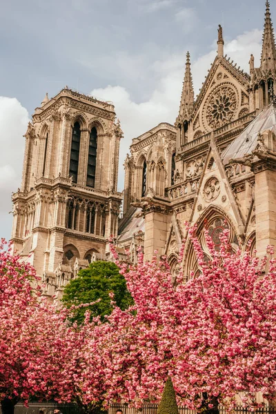 Catedral de Notre-Dame de Paris — Foto de Stock