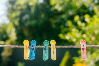 renkli plastik clothespins