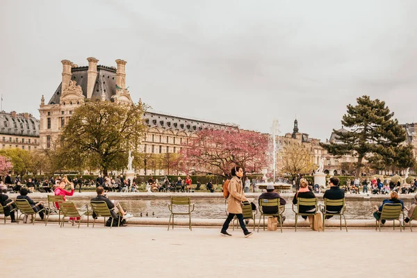 Sillas de jardín verdes en Tuileries Garden Paris —  Fotos de Stock