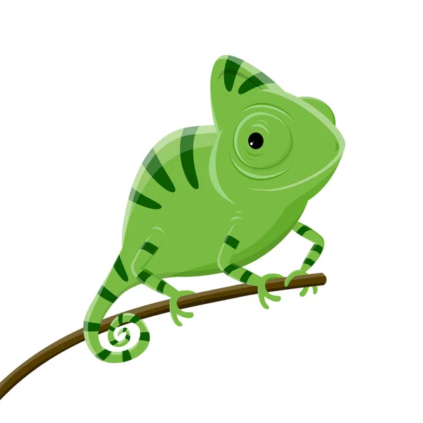Tecknad Illustration Grön Kameleont — Stock vektor