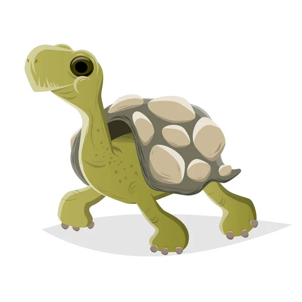 Rolig Tecknad Sköldpadda Vektor Illustration — Stock vektor