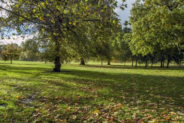 Londra, İngiltere, 1 Kasım 2012: Hyde Park