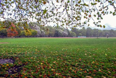 Londra, İngiltere, 1 Kasım 2012: Hyde Park