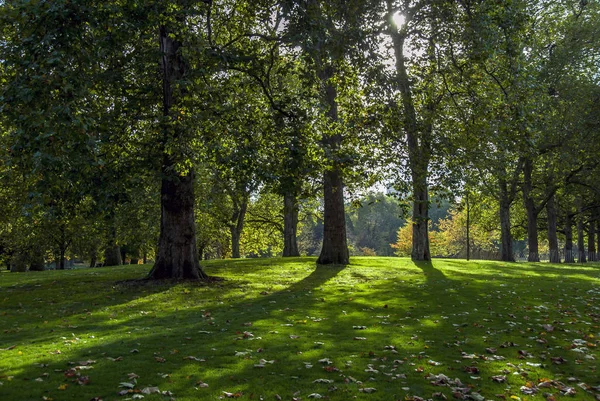 Londra, Regno Unito, 30 ottobre 2012: Hyde Park — Foto Stock