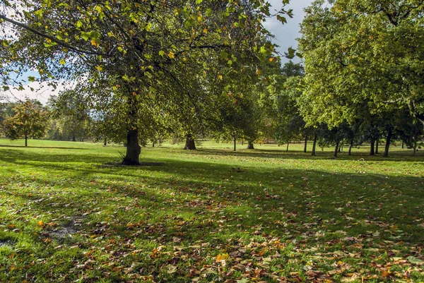 Londres, Reino Unido, 1 noviembre 2012: Hyde Park — Foto de Stock