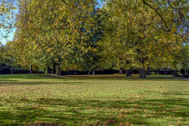Dublin, İrlanda, 27 Ekim 2012: Saint Stephen's Green Park