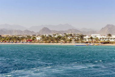 Sinai, Mısır, 18 Şubat 2008: Sharm El Sh Kızıldeniz Sahili