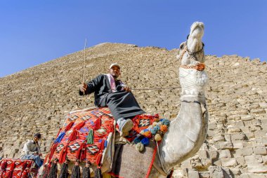 Kahire, Mısır, 20 Şubat 2008: i Haram, Giza Governorate, Pyra