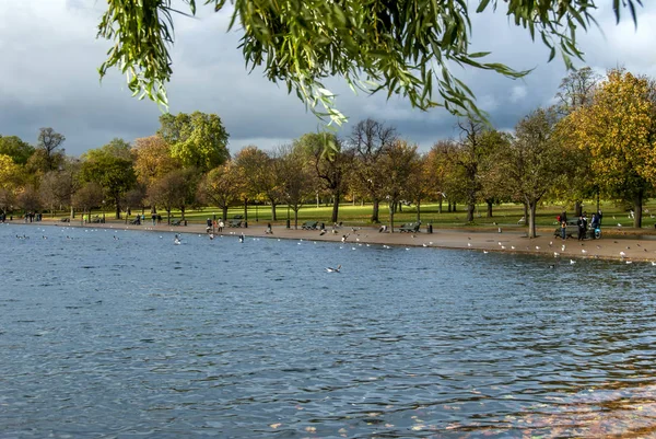 Londen, Uk, 1 November 2012: Hyde Park — Stockfoto