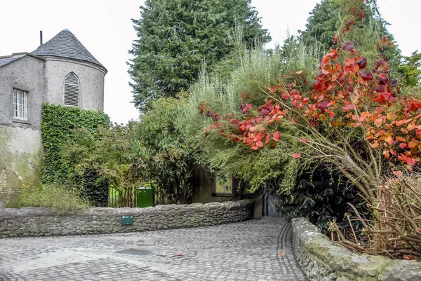 Dublin, Irland, 25 oktober 2012: Malahide Castle Gardens Park — Stockfoto