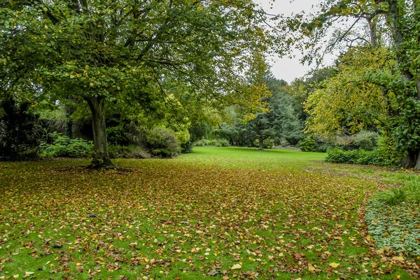 Dublín, Irlanda, 25 de octubre de 2012: Malahide Castle Gardens Park — Foto de Stock