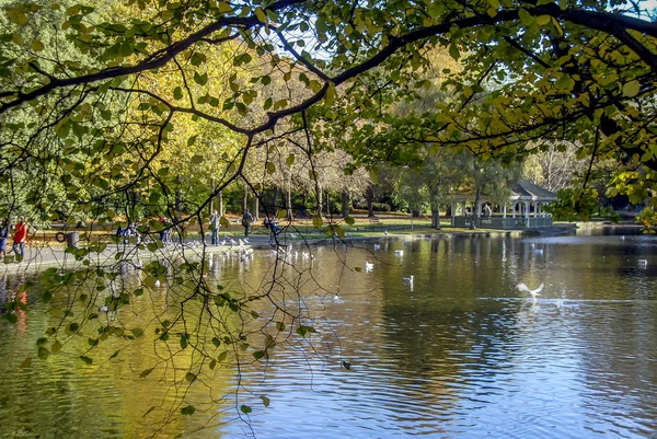 Dublin, irland, 27. oktober 2012: der grüne park von saint stephen — Stockfoto