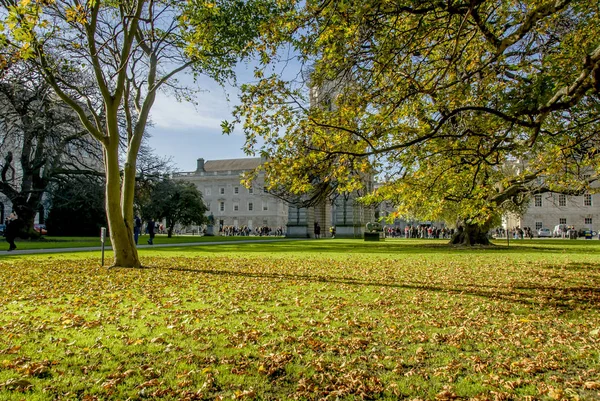 爱尔兰都柏林, 2012年10月27日: 三一学院 — 图库照片