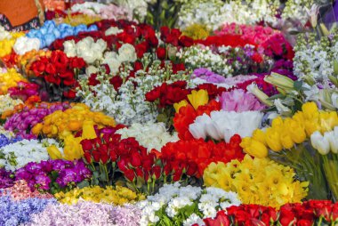 Istanbul, Türkiye, 13 Şubat 2014: Çiçek çiçekçi dükkanı